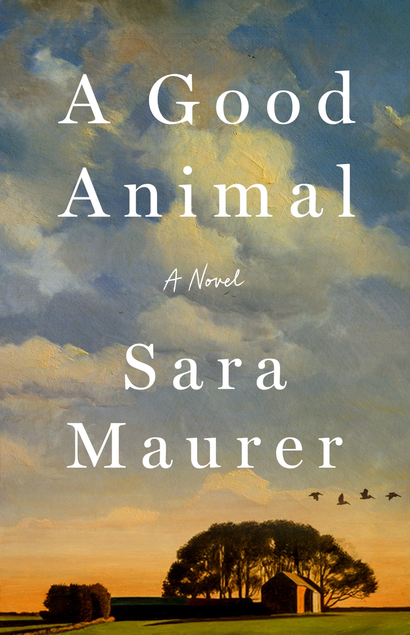 Book Cover for A Good Animal by Sara Maurer, featuring a partly-cloudy blue sky and sunrise in the background, showing the silhouettes of a large tree and farm outbuildings at the bottom. The book title and author name are in white, serif font.