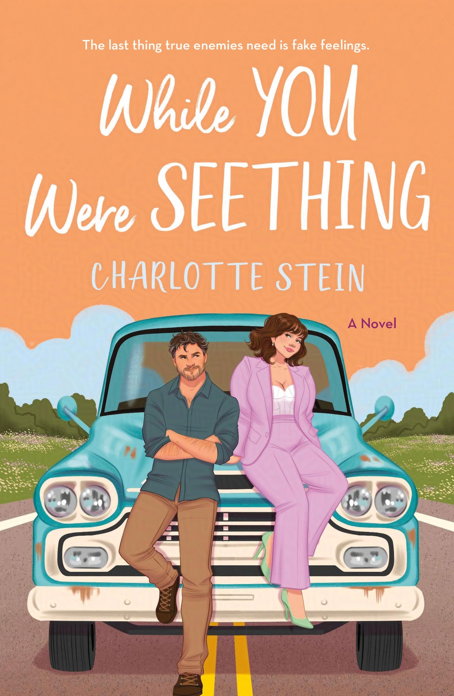 Book cover for While You Were Seething, featuring the title in white script on a peach background. In the center is an old-style blue pickup truck, with a man and woman leaning/ sitting on the hood. Both have pale skin with dark hair. The man is wearing a plaid shirt and khakis and the woman is earing a pink pantsuit.